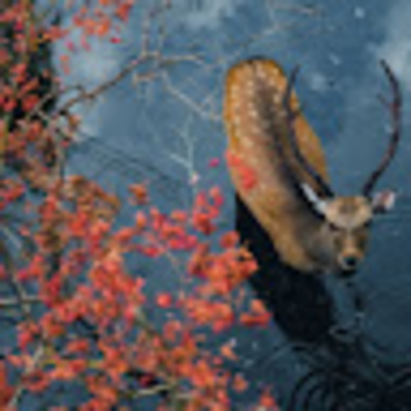 Meet your Posher, Jordan - Picture 1 of 1